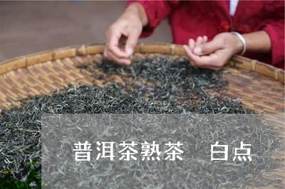 普洱茶熟茶 白点/2023041230573